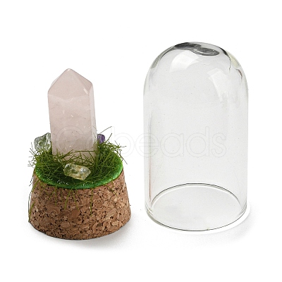 Natural Rose Quartz Bullet Display Decoration with Glass Dome Cloche Cover DJEW-B009-02G-1