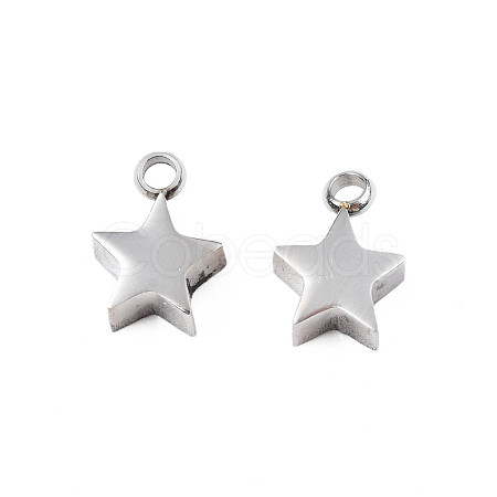 Non-Tarnish 304 Stainless Steel Charms STAS-N095-138-1