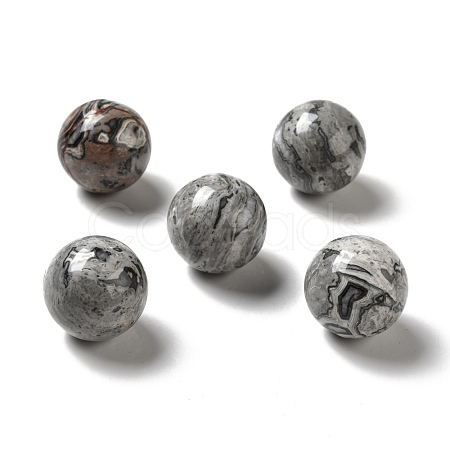 Natural Map Stone Beads G-A206-02-11-1