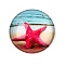 Glass Cabochons, Half Round with Ocean Theme, Colorful, Starfish, 34.5x9.5mm