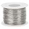 304 Stainless Steel Wire, for Jewelry Making, Stainless Steel Color, 0.5mm, about 160m/roll