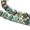 Natural African Turquoise(Jasper) Beads Strands G-F717-01-4