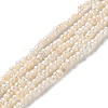 Natural Keshi Pearl Beads Strands PEAR-E018-64-1