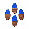 Transparent Resin & Walnut Wood Pendants RESI-N025-032-C03-2