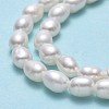 Natural Cultured Freshwater Pearl Beads Strands PEAR-J006-12A-4