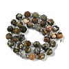 Natural Rhyolite Jasper Beads Strands G-O201B-122F-4