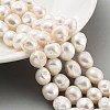 Natural Cultured Freshwater Pearl Beads Strands PEAR-P062-36A-2