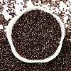 Baking Paint Silver Lined Glass Seed Beads SEED-H003-09I-3