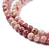 Natural Maifanite/Maifan Stone Beads Strands G-P451-01C-A-4