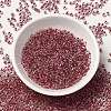 12/0 Transparent Glass Seed Beads SEED-F003-03C-03-2