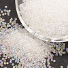 8/0 Round Glass Seed Beads X-SEED-J011-F8-161-1