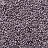 TOHO Round Seed Beads SEED-JPTR11-0554F-2