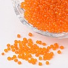12/0 Glass Seed Beads X-SEED-A004-2mm-9B-1