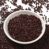 Baking Paint Glass Seed Beads X-SEED-S042-05B-41-2