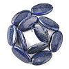 Natural Lapis Lazuli Beads Strands G-K311-12C-03-3
