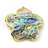 Natural Paua Shell Pendants KK-G409-11G-3