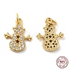 925 Sterling Silver Micro Pave Cubic Zirconia Charms STER-I010-40G-1