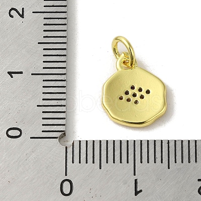 Brass Micro Pave Cubic Zirconia Charms KK-M283-19C-02-1