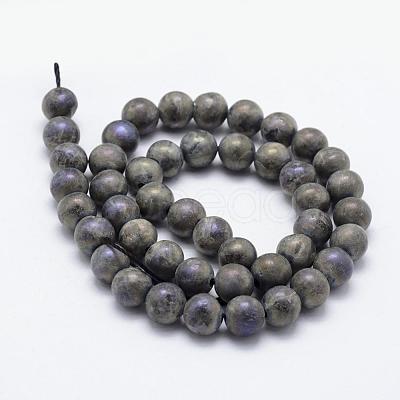 Electroplate Natural Labradorite Beads Strands G-F518-05-10mm-1