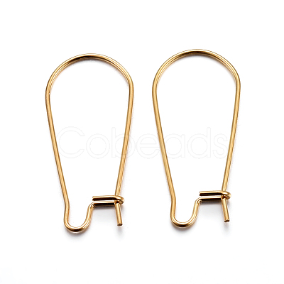 304 Stainless Steel Hoop Earring Findings X-STAS-P223-01G-03-1