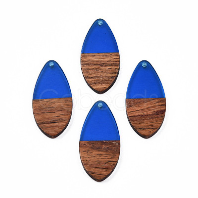 Transparent Resin & Walnut Wood Pendants RESI-N025-032-C03-1