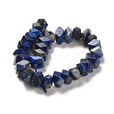 Natural Lapis Lazuli Beads Strands G-N327-05-13-1