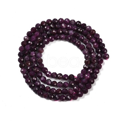 Natural Ruby Beads Strands G-P553-G01-02-1