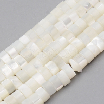 Natural Trochid Shell/Trochus Shell Beads Strands X-SHEL-R049-024-1