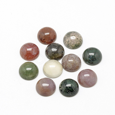 Natural Indian Agate Cabochons G-R416-10mm-14-1