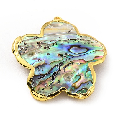 Natural Paua Shell Pendants KK-G409-11G-1