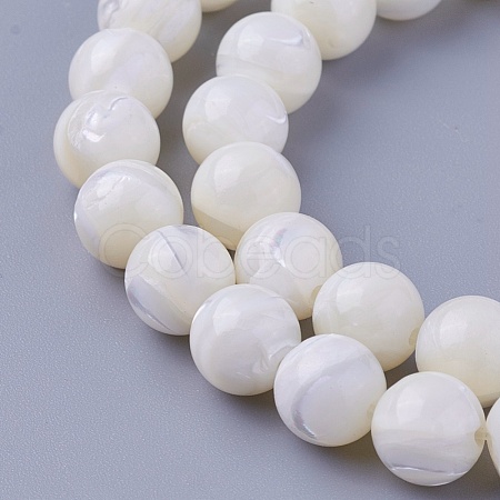 Shell Beads Strands SSHEL-E571-39-8mm-1