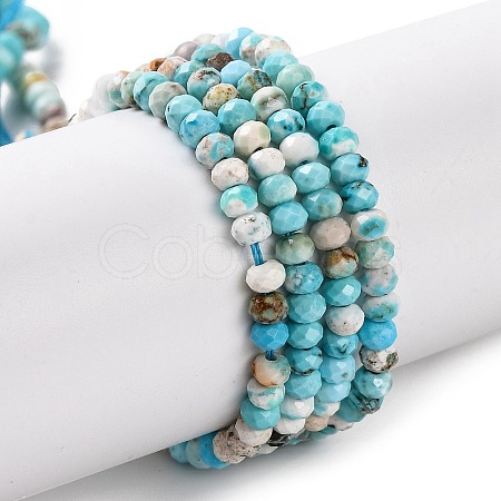 Natural Howlite Beads Strands G-H025-03B-05-1