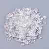 Natural Quartz Crystal Chips Beads G-K251-03-1
