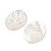 Natural White Shell Carved Cabochons SSHEL-I026-22A-2