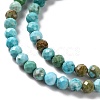 Natural Howlite Beads Strands G-C025-02B-06-4