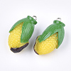 Resin Pendants RESI-T028-50-2