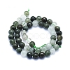 Natural Green Rutilated Quartz Beads Strands G-E561-14-8mm-2