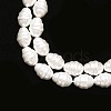 Shell Pearl Beads Strands PEAR-T005-02-3