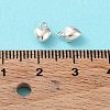925 Sterling Silver Charms STER-H106-01C-S-4