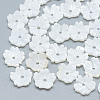 Freshwater Shell Beads SHEL-S275-019-1