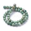 Natural Qinghai Jade Beads Strands G-T055-6mm-16-2