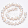 Natural Cultured Freshwater Pearl Beads Strands X-SPPA007Y-1-2