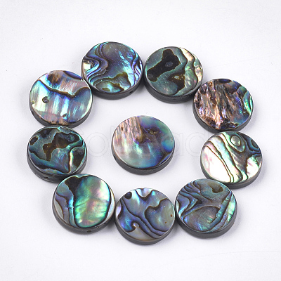 Abalone Shell/Paua Shell Beads SSHEL-T008-06B-1