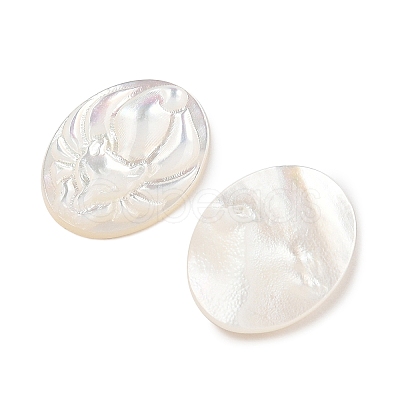 Natural White Shell Carved Cabochons SSHEL-I026-22A-1