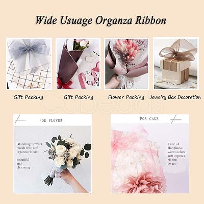 Organza Ribbon ORIB-BC0001-02L-1