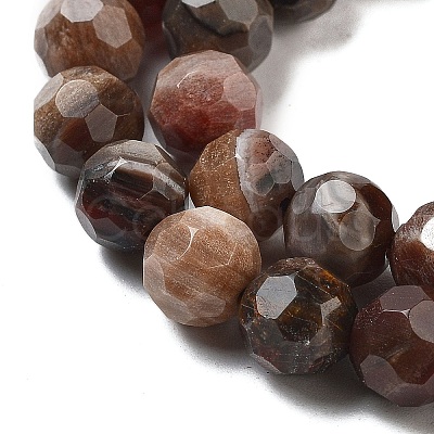 Natural Petrified Wood Beads Strands G-C150-B01-01-1