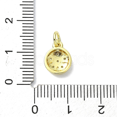 Brass Micro Pave Clear Cubic Zirconia Charms KK-H475-59G-13-1