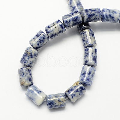 Natural Gemstone Blue Spot Jasper Column Beads Strands G-S115-11-1