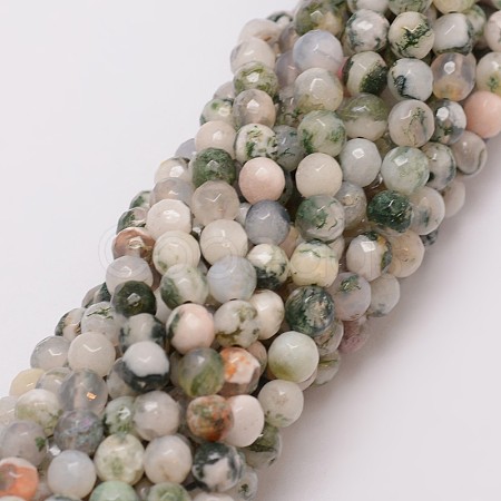 Natural Tree Agate Bead Strands X-G-G882-6mm-E02-1