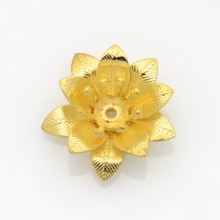 Brass 3D Flower Bead Caps X-KK-O038-03G-1